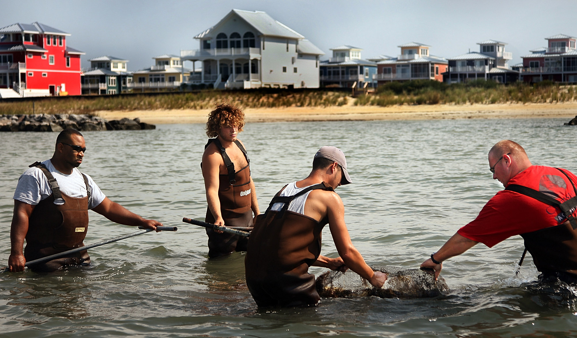 Cherrystone Aqua Farms workers harvest clams along the beach front on the Eastern Shore in Cape Charles, Va. The Bay Creek development is in the background.<br />(Delores Johnson / Virginian-Pilot / AP Photo)
