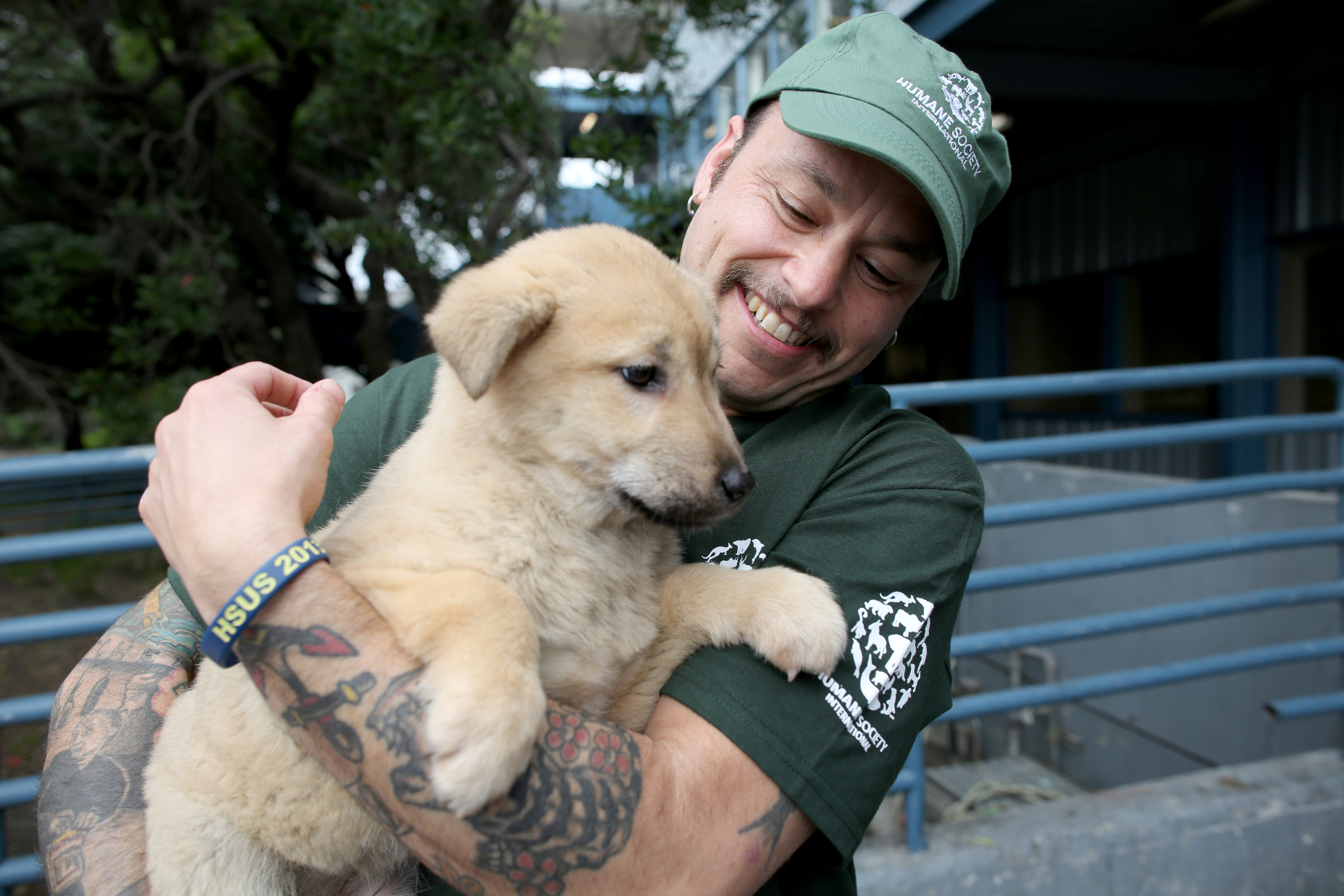 In this image released on Thursday, March 19, 2015, 57 dogs rescued by Humane Society International and Change for Animals Foundation from a dog meat farm in Hongseong, South Korea, arrive in San Francisco.<br />(Sammy Dallal / AP Images for Humane Society International)
