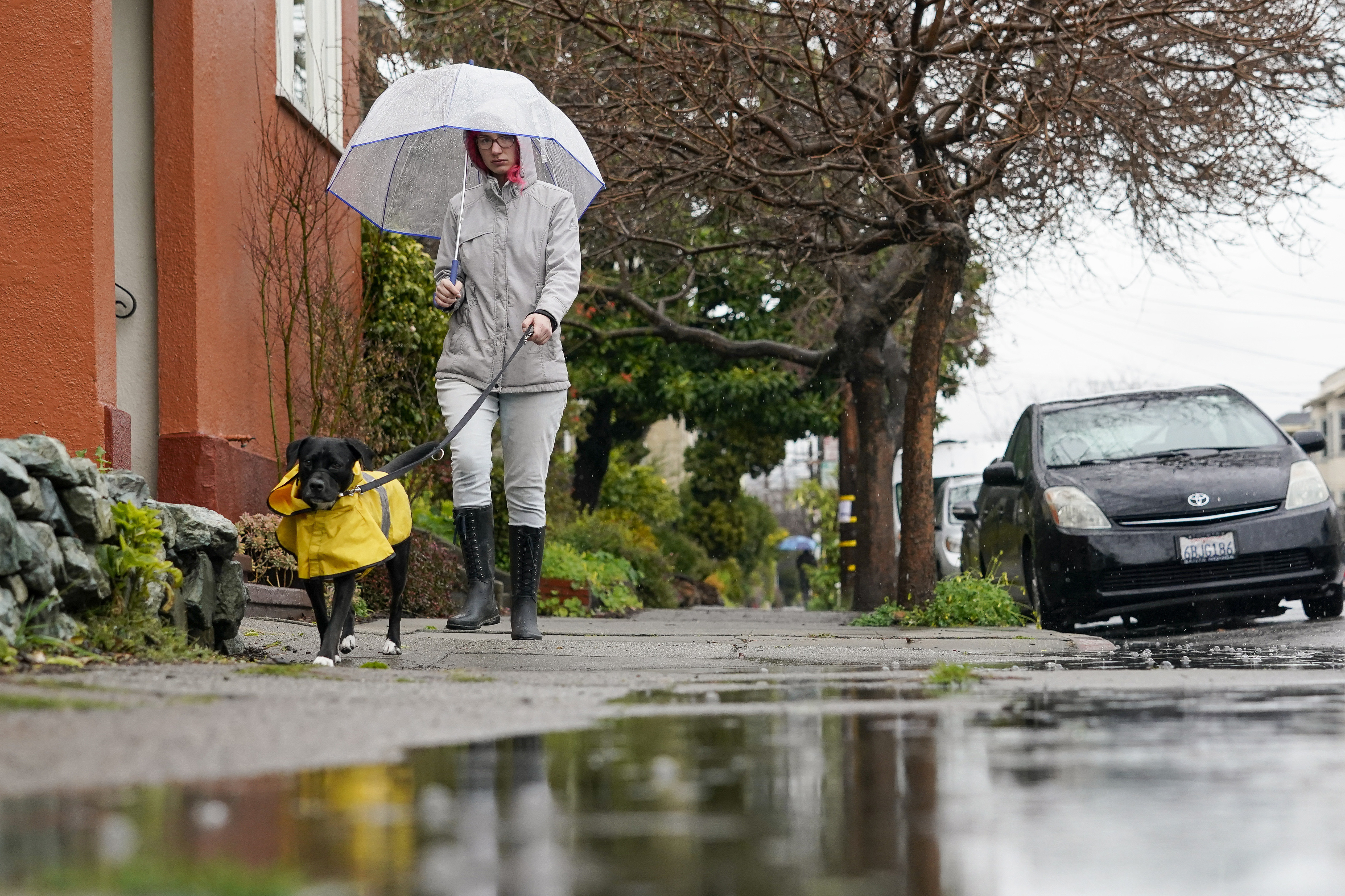 A woman walks her dog in the rain.<br />(Godofredo A. Vásquez / AP Photo)