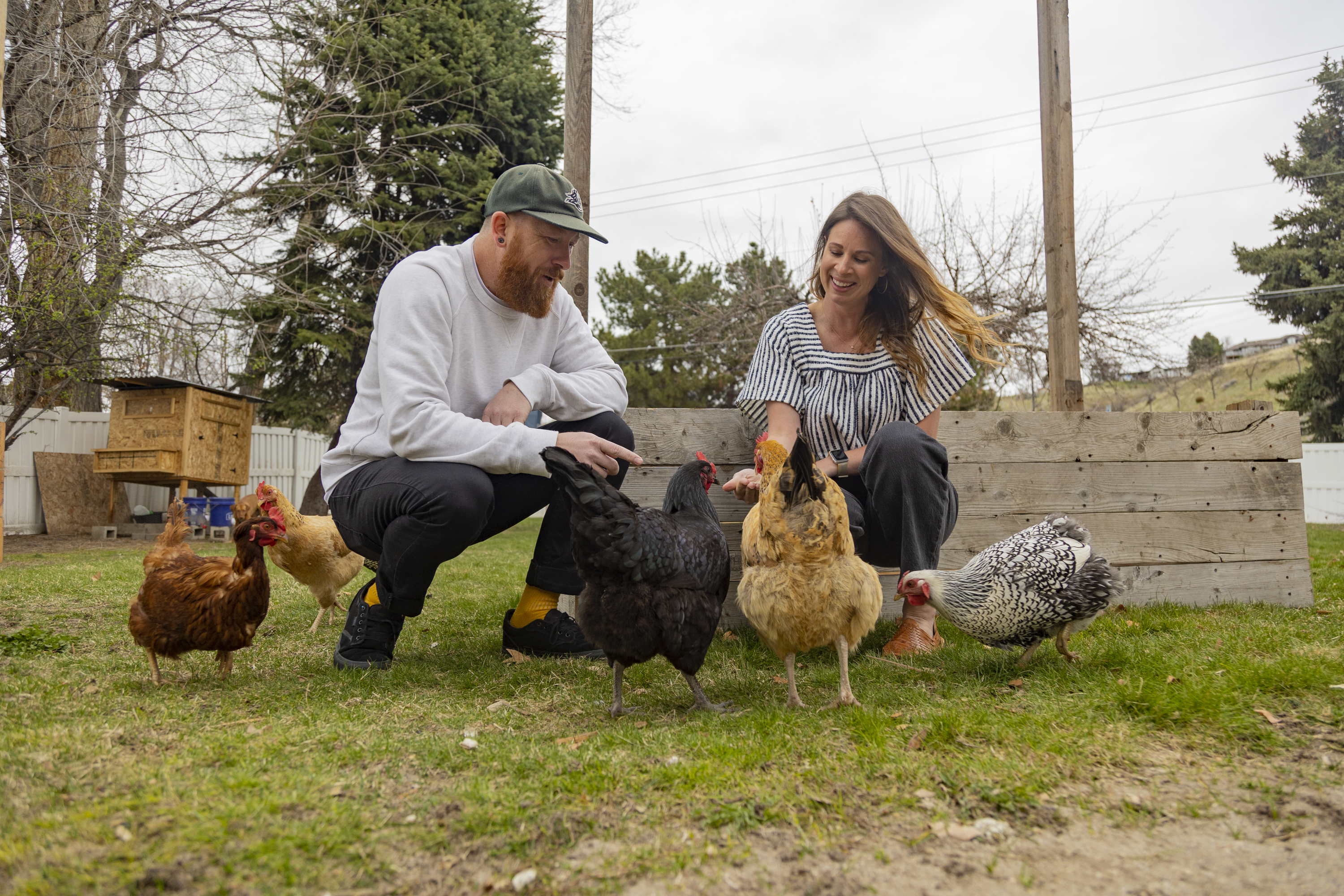 Aaron and Carrie Friesen feed chickens in the backyard of their home in Boise, Idaho, on April 12, 2023. The couple, who has three children, recently moved to Idaho from  Bluffton, S.C.<br />(Kyle Green / AP Photo)