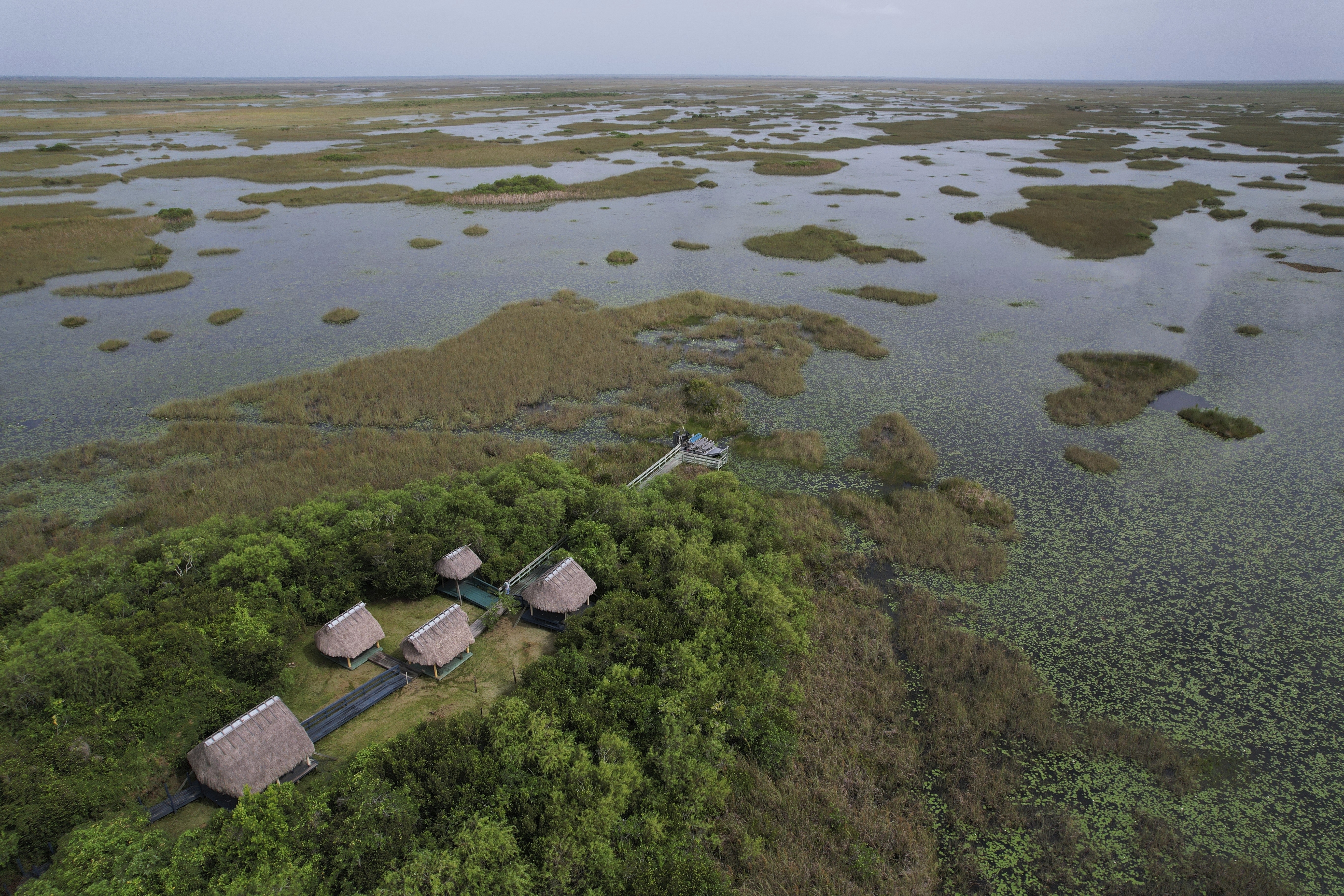 Chickees, or stilt homes, connected by walkways raised above waterlogged ground are seen on Rice Island, one of several tree islands where the family of Miccosukee Tribal elder Michael Frank once lived, in the Miccosukee Indian Reservation in Florida’s Everglades, Thursday, July, 11, 2024.<br />(Rebecca Blackwell / AP Photo)