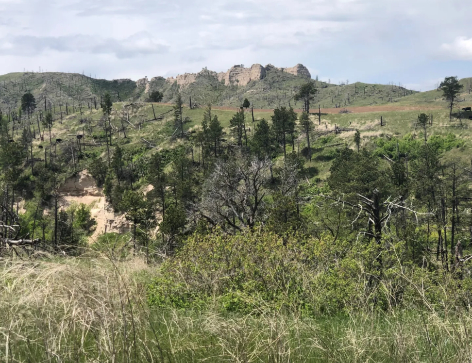 The Pine Ridge area of northwest Nebraska is an extension of the Black Hills that reaches through Dawes, Sheridan and Harrison Counties.<br />(Courtesy of Visit Northwest Nebraska)