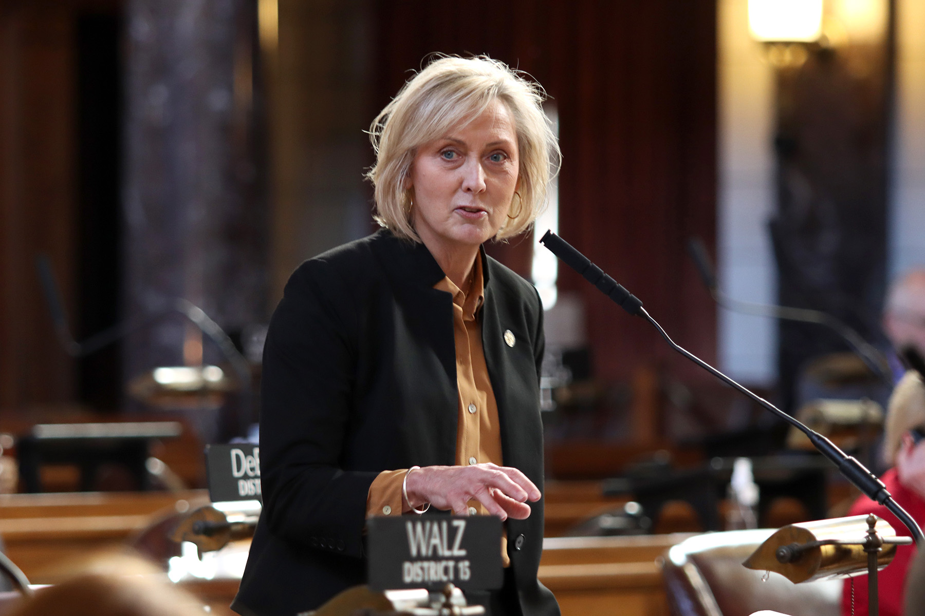 Sen. Lynne Walz – Dist. 15