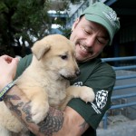 In this image released on Thursday, March 19, 2015, 57 dogs rescued by Humane Society International and Change for Animals Foundation from a dog meat farm in Hongseong, South Korea, arrive in San Francisco.
(Sammy Dallal / AP Images for Humane Society International)