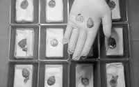 Liz Barham, senior conservator of the Museum of London Archaeology, displays an early medieval gold necklace during a photo call, in London, Tuesday, Dec. 6, 2022. (Kin Cheung / AP Photo)