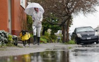 A woman walks her dog in the rain.
(Godofredo A. Vásquez / AP Photo)