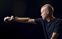 This undated photo provided by Centivax in 2025 shows Tim Friede, who is hyper-immune to the venom of various snakes, with a water cobra wrapped around his arm. 
(Centivax via AP)
