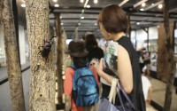 People walk around a cage to look at bugs at an exhibition devoted to insects in Tokyo, Thursday, July 31, 2025. 
(Yuri Kageyama / AP Photo)