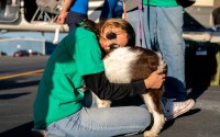 Katelynn Aldarondo says goodbye to the nameless dog she grew close to, Nov. 23, 2025, at Culpeper Regional Airport in Brandy Station, Va. 
(Allison Robbert / AP Photo)