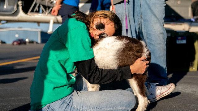 Katelynn Aldarondo says goodbye to the nameless dog she grew close to, Nov. 23, 2025, at Culpeper Regional Airport in Brandy Station, Va.
(Allison Robbert / AP Photo)