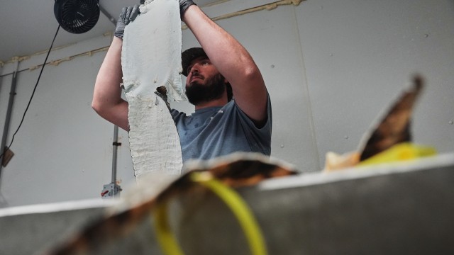 Jacob Sagrera inspects an alligator skin Tuesday, Jan. 20, 2026, at a farm in Abbeville, La. 
(Joshua A. Bickel / AP Photo)
