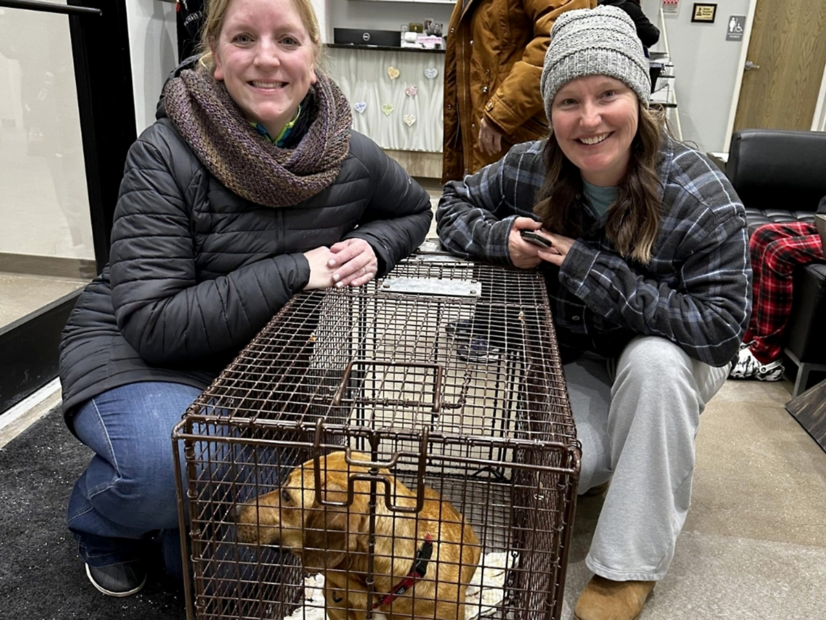 During some of the most brutal cold weather of February, and snow, our trappers worked for days trying to capture “Girlie.”<br />(Courtesy of LPOOA)