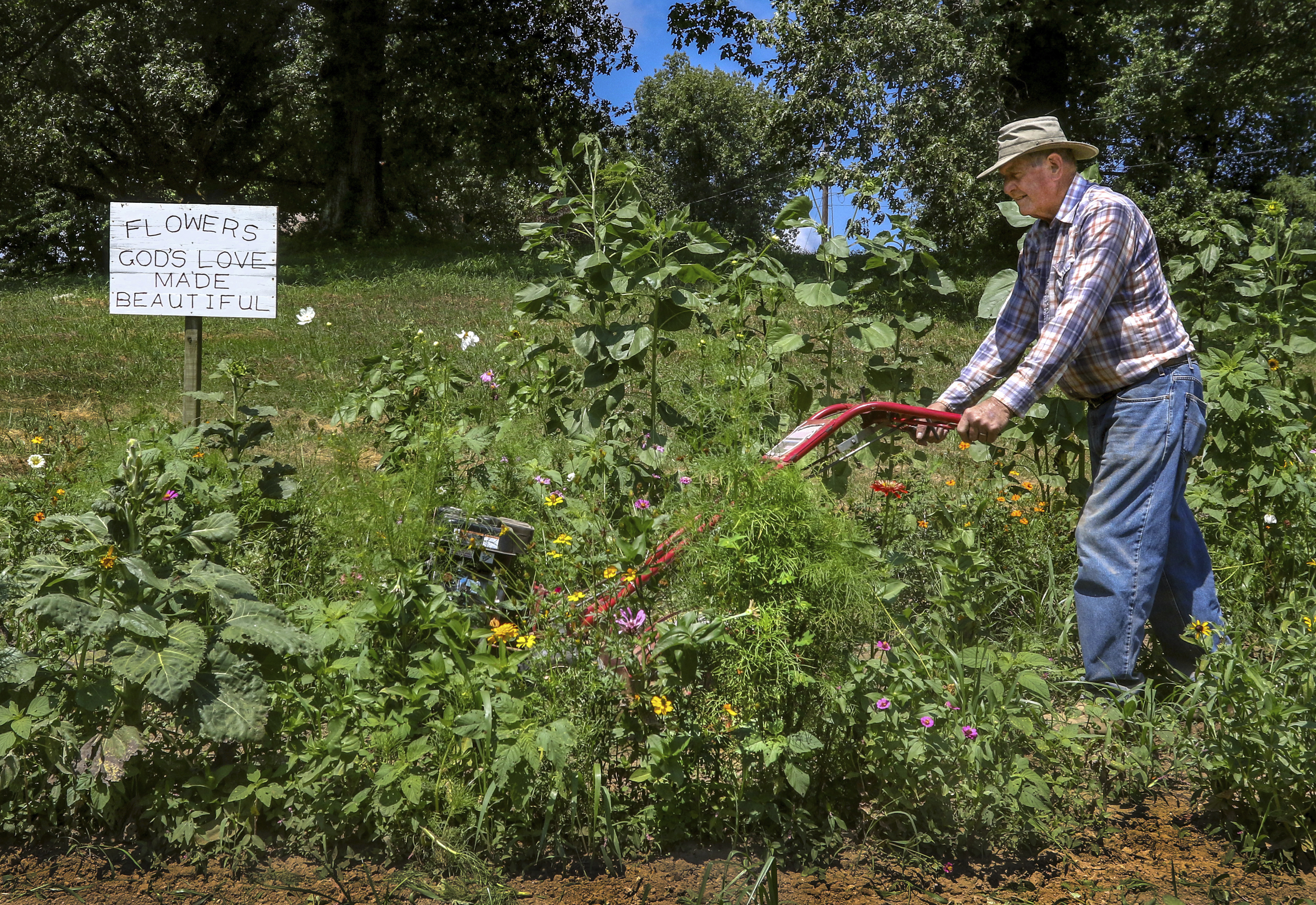Tommy Claypool tills the ground in his wildflower garden he and his wife, Milly, maintain together at their home on Newbolt Road, Wednesday, July 11, 2018, in Daviess County, near Owensboro, Ky. The garden contains sunflowers, zinnias and other wildflowers that they have planted for their community.<br />(Greg Eans / The Messenger-Inquirer via AP)