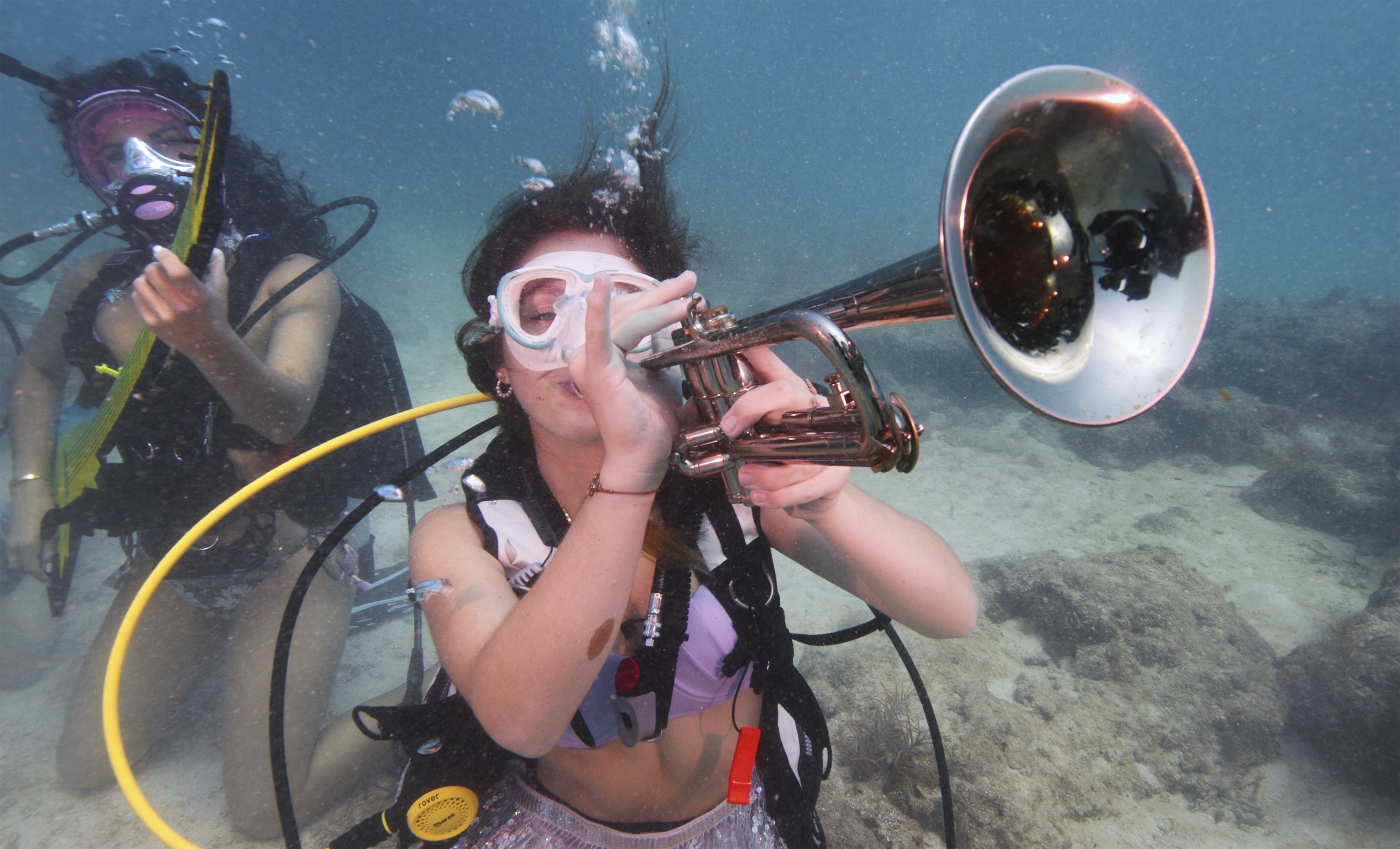 (Frazier Nivens / Florida Keys News Bureau via AP)