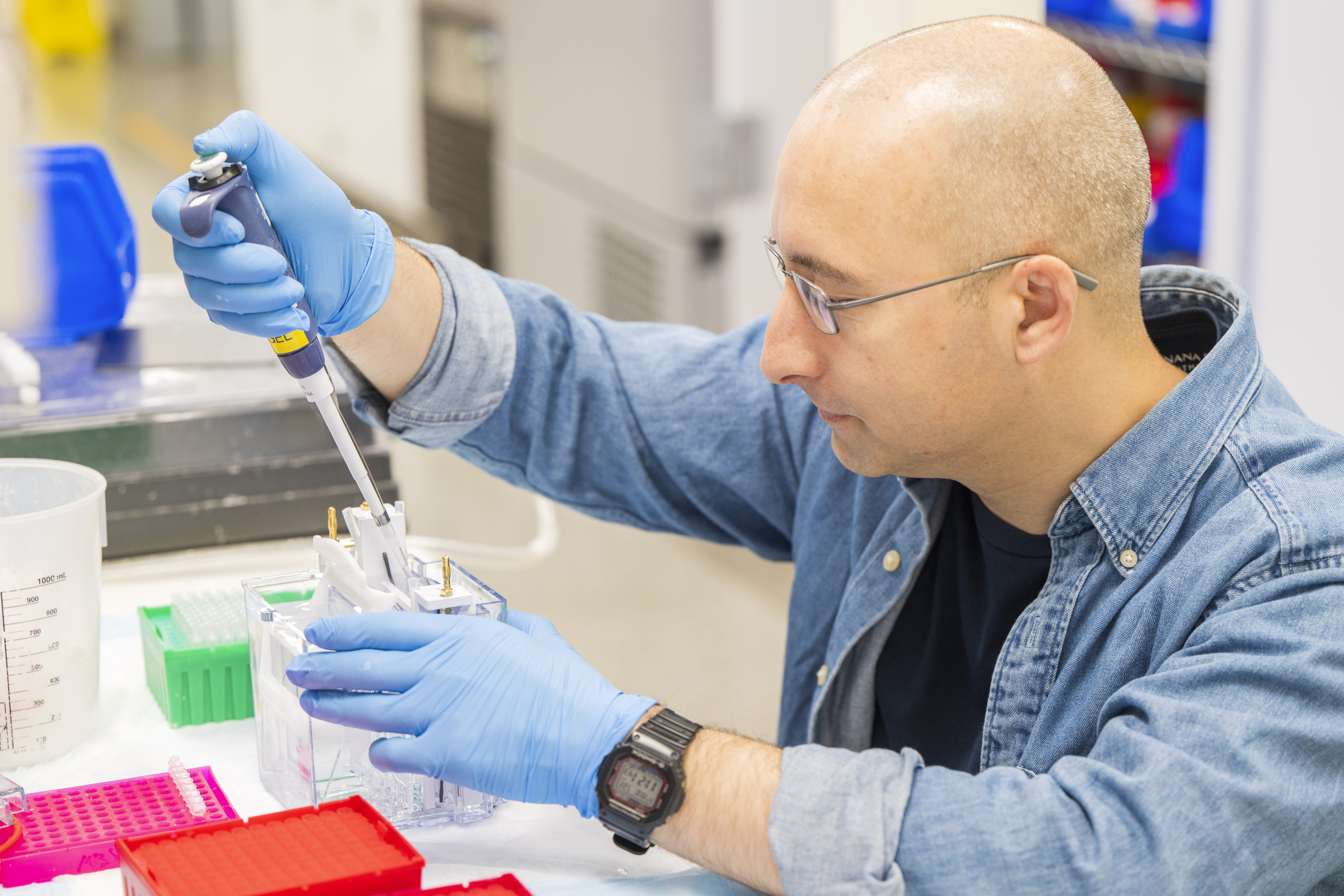 A lab technician prepares DNA samples for analysis at Complete Genomics in San Jose, Calif., Monday, July 22, 2024.<br />(Nic Coury / AP Photo)