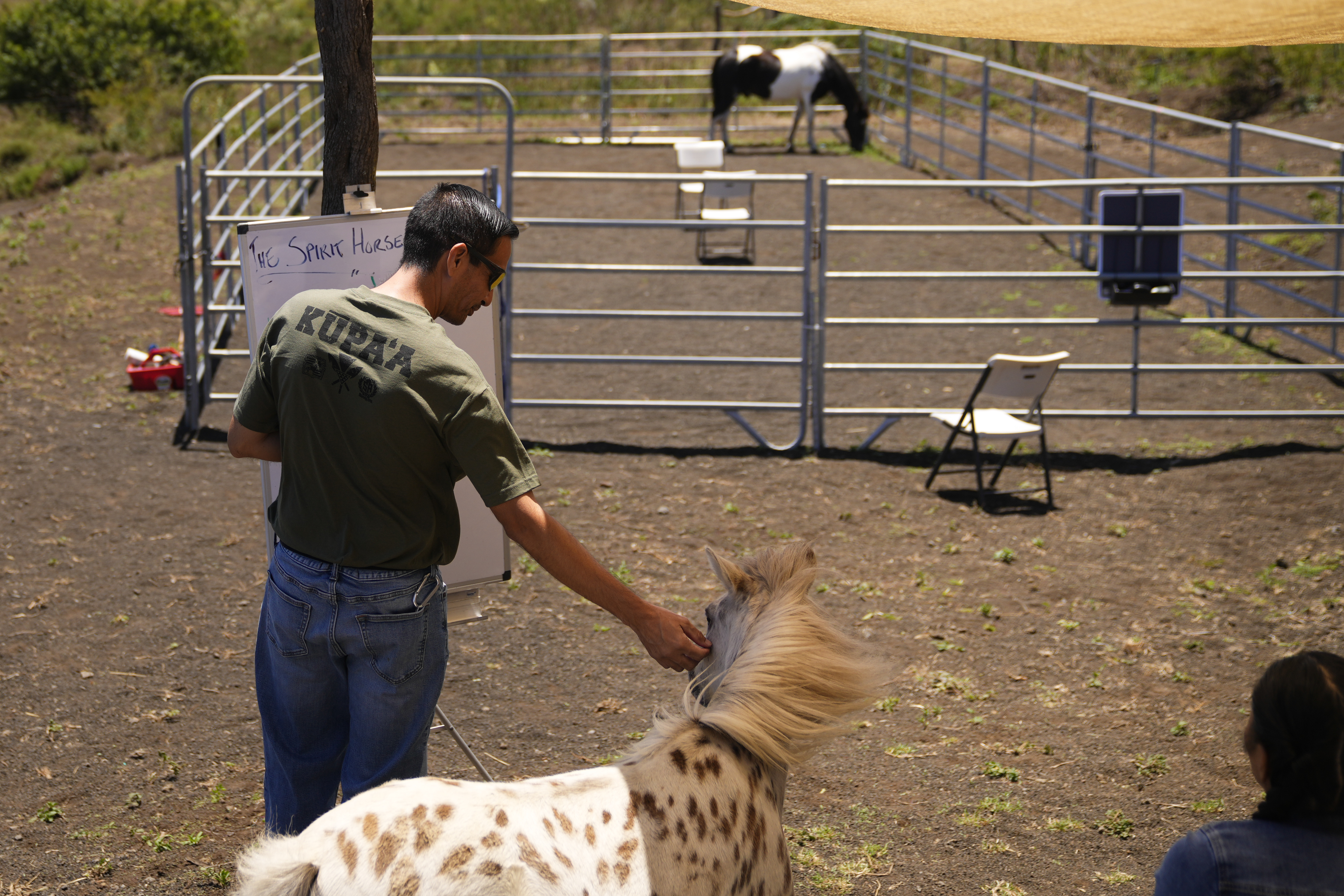 Kalani Dapitan reaches out to a miniature horse named Pawnee before an equine therapy program session at the Spirit Horse Ranch, Tuesday, July 9, 2024, in Kula, Hawaii.<br />(Lindsey Wasson / AP Photo)