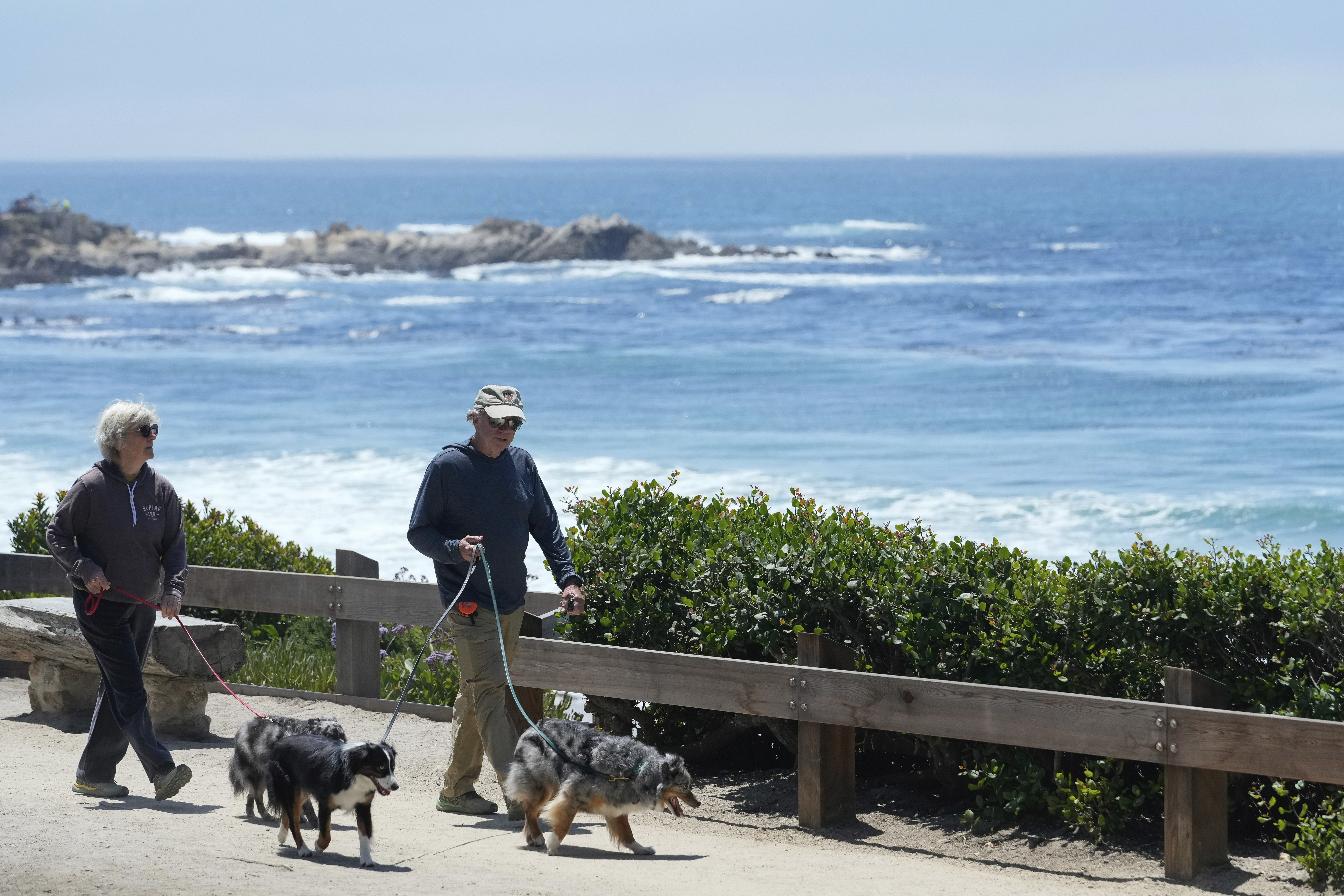 Sharon (left) and Chip Clarke walk their dogs along Scenic Road, Tuesday, July 23, 2024, in Carmel-By-The-Sea, Calif.<br />(Godofredo A. Vásquez / AP Photo)