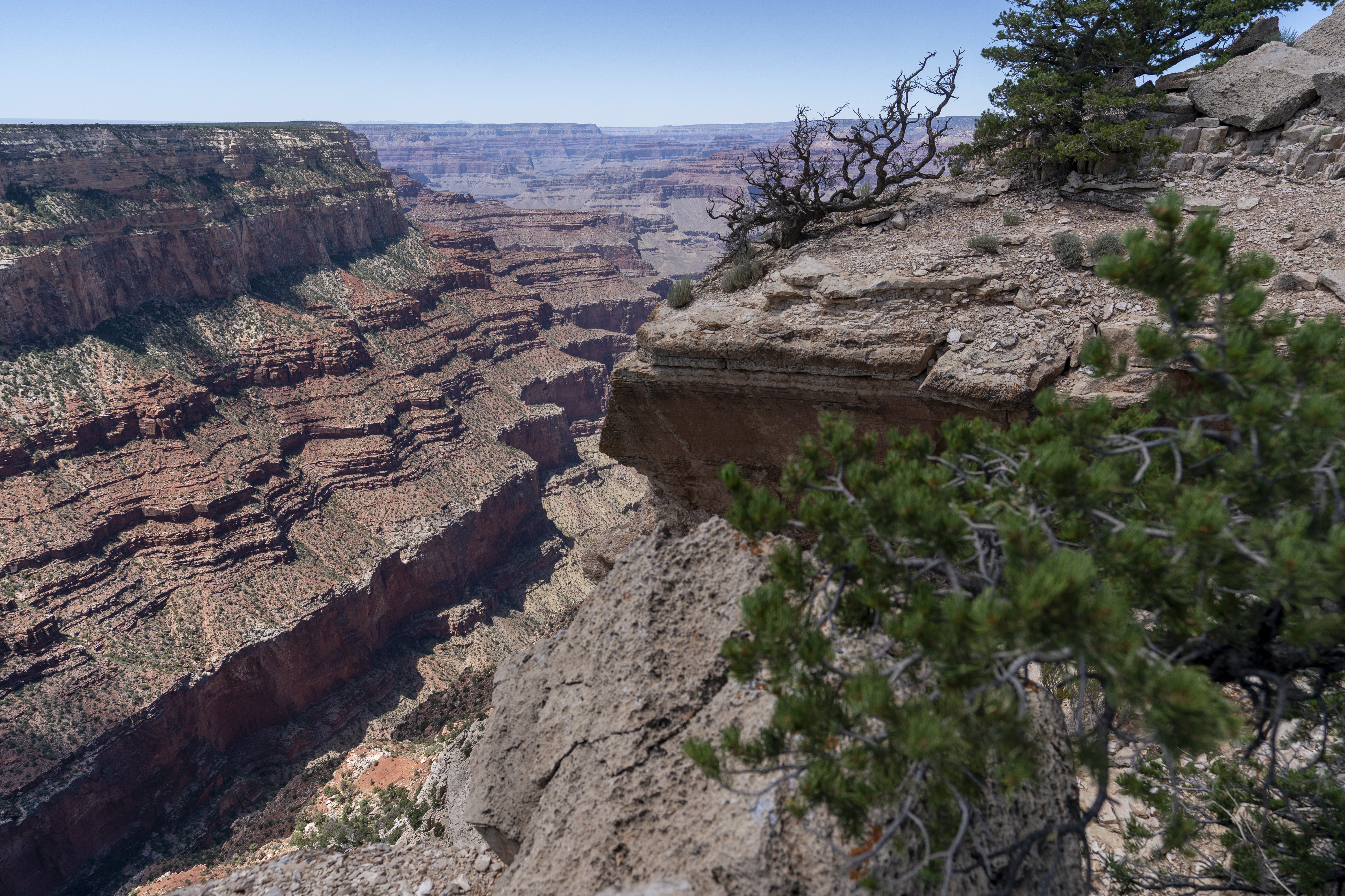 The South Rim of Grand Canyon National Park is seen in Grand Canyon Village, Ariz., Aug. 8, 2023.<br />(Alex Brandon / AP Photo)