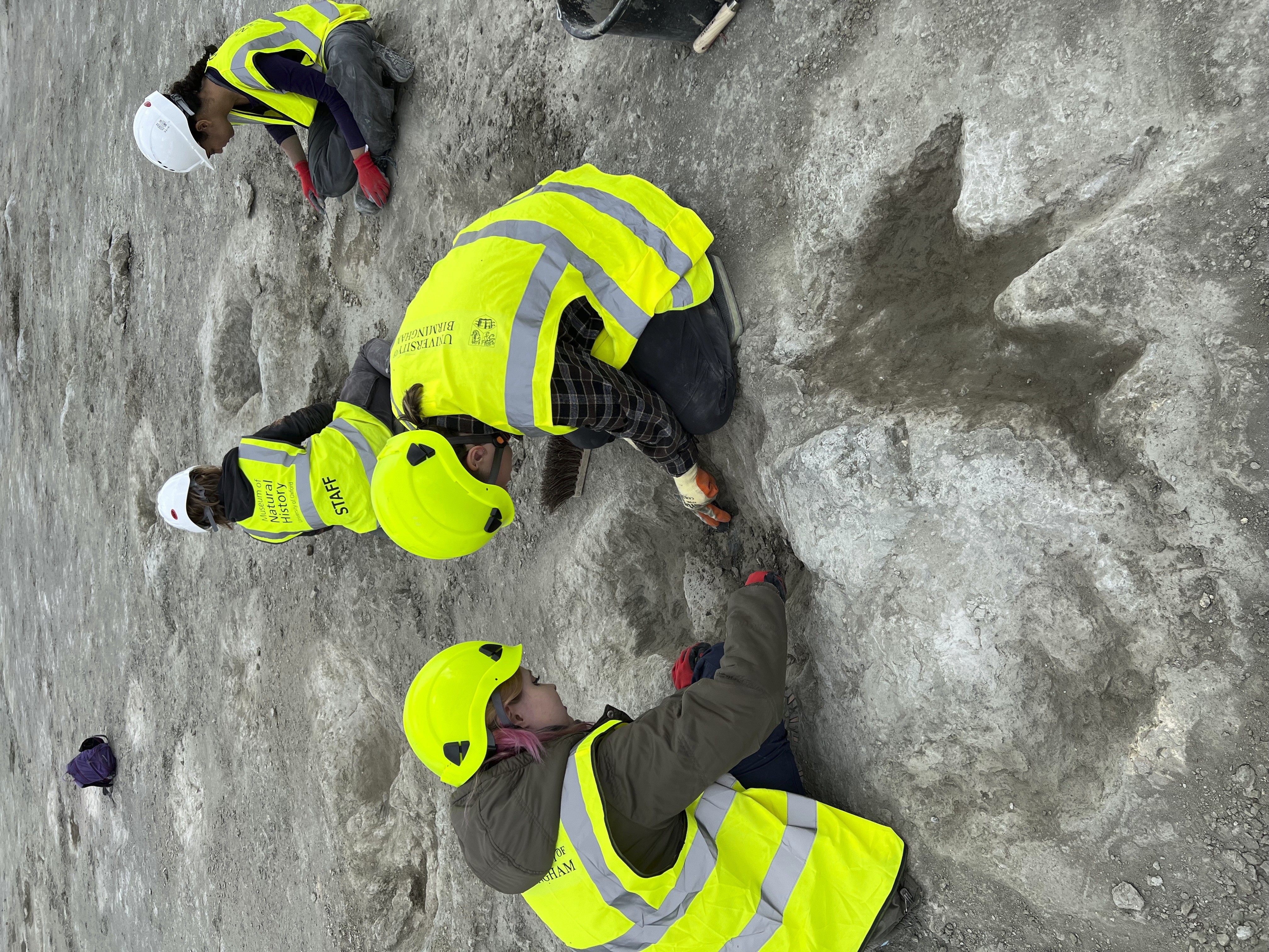 In this photo provided by the Oxford University Museum of Natural History and the University of Birmingham five extensive trackways that formed part of a “dinosaur highway” are uncovered, at Dewars Farm Quarry in Oxfordshire, England.<br />(Emma Nicholls / OUMNH via AP)