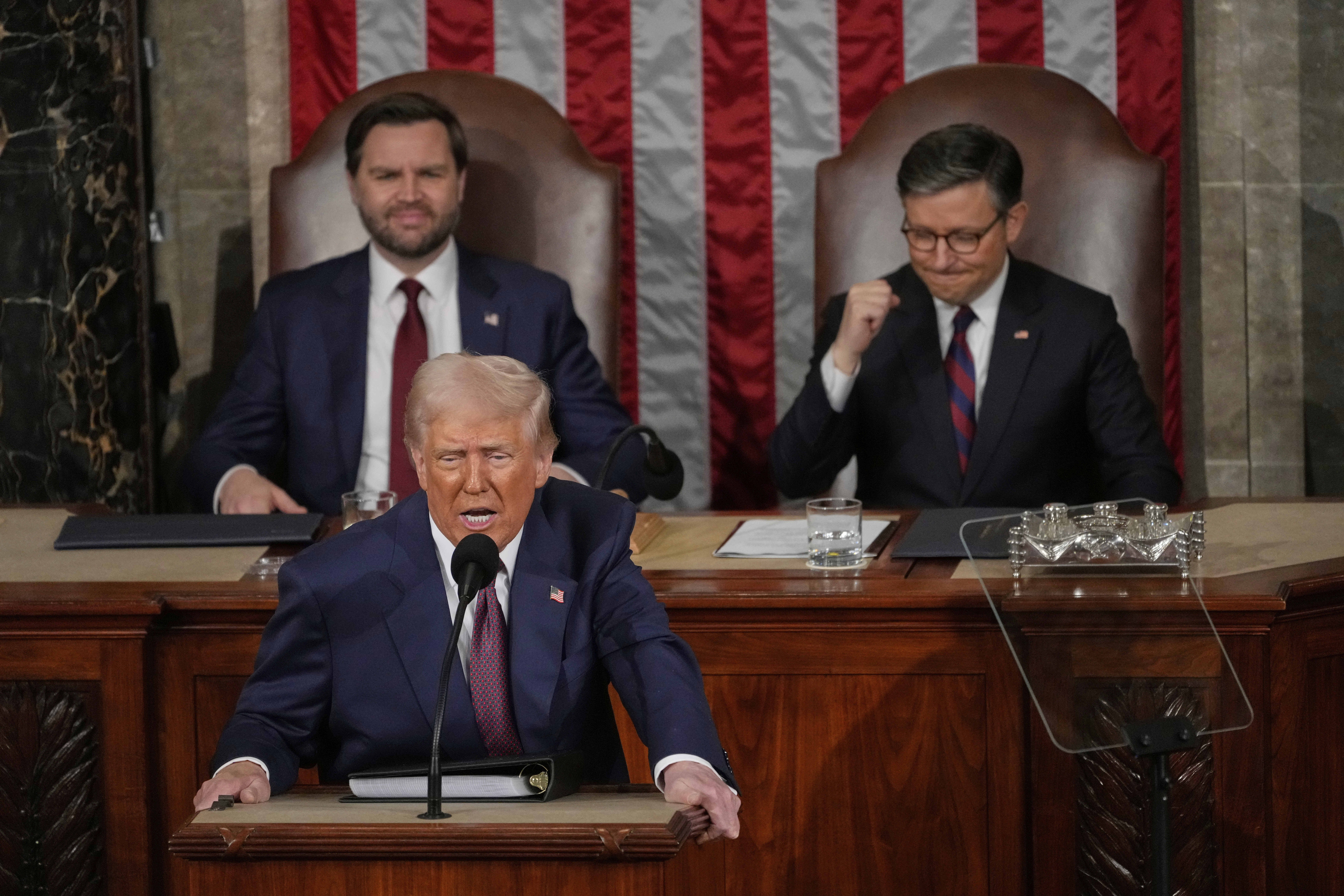 President Donald Trump addresses a joint session of Congress in the House chamber at the U.S. Capitol in Washington, Tuesday, March 4, 2025, as Vice President JD Vance and House Speaker Mike Johnson of La., listen.<br />(Julia Demaree Nikhinson / AP Photo)