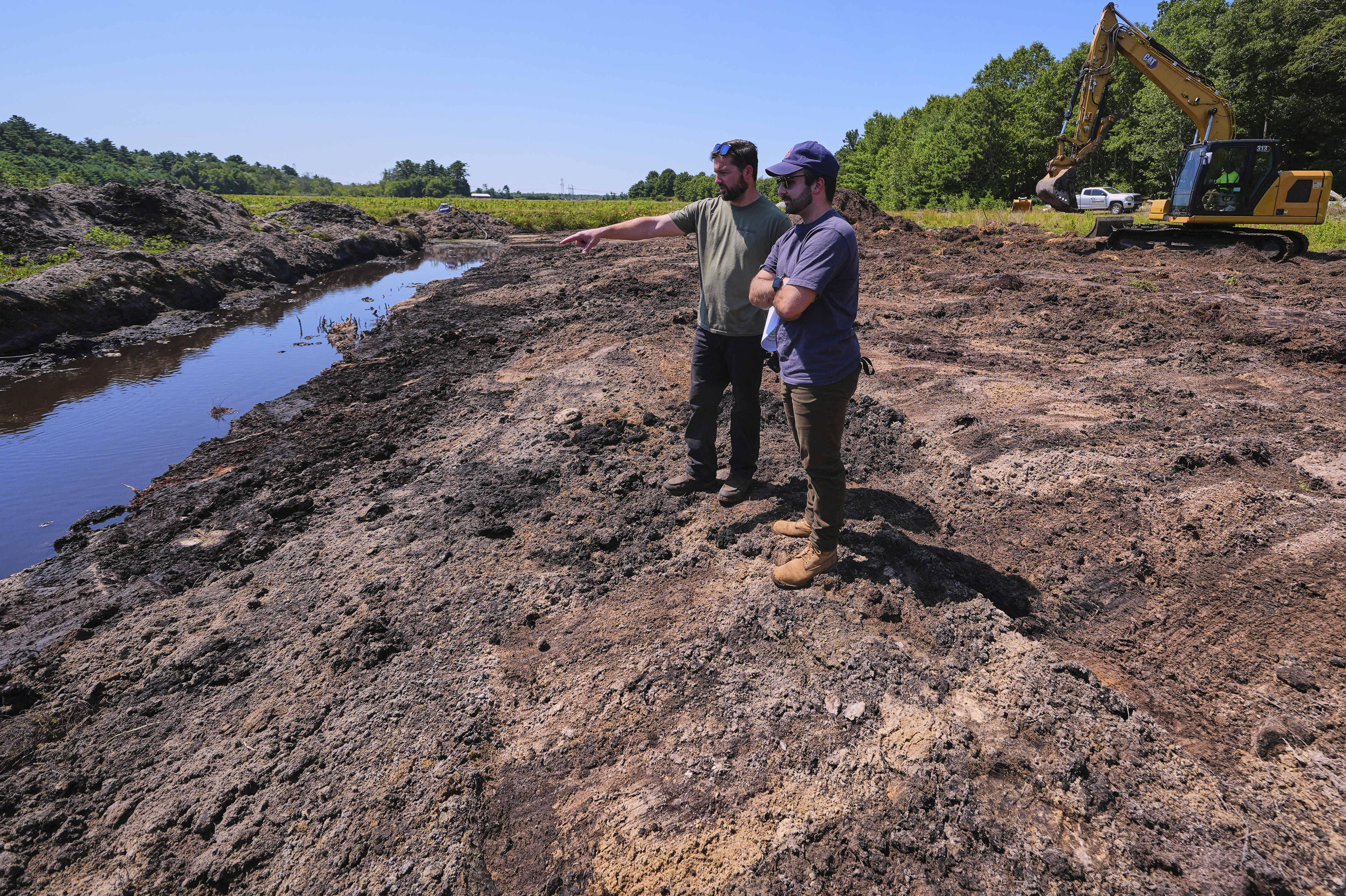 Massachusetts Cranberry Bogs Are Being  Given A Second Life As Vibrant Wetlands