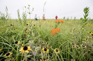 Guerrilla gardening is used to reclaim community spaces, rejuvenate urban areas, and encourage more connection with nature. It’s a phenomenon that gets more popular every year. There are many benefits to the movement such as encouraging biodiversity by planting native plants and creating community gardens.<br />(AP Photo)