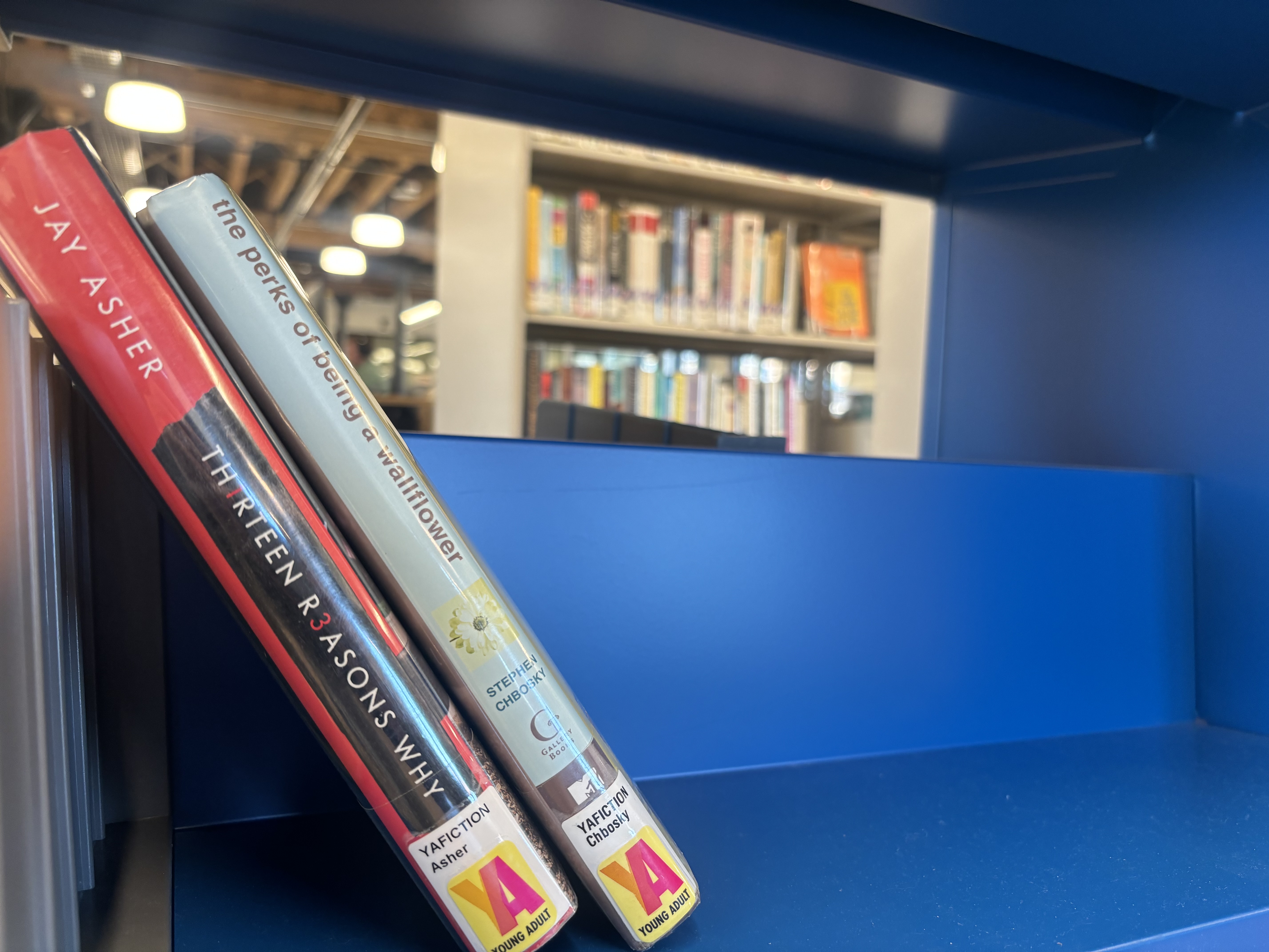 Libraries across Nebraska are dealing with an influx of challenges seeking to limit access to certain books. These two books were among more than 100 titles challenged in records that the Flatwater Free Press obtained from seven different libraries.<br />(Joseph Saaid / Flatwater Free Press)