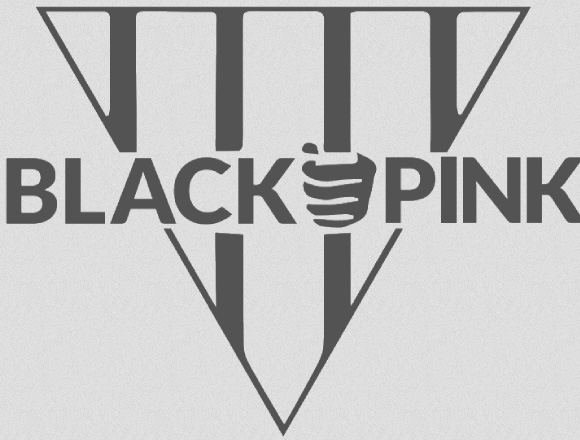 Black &amp; Pink National is a prison abolitionist organization dedicated to abolishing the criminal punishment system and liberating LGBTQIA2S+ people and people living with HIV/AIDS who are affected by that system through advocacy, support, and organizing.<br />(Courtesy of Black and Pink)