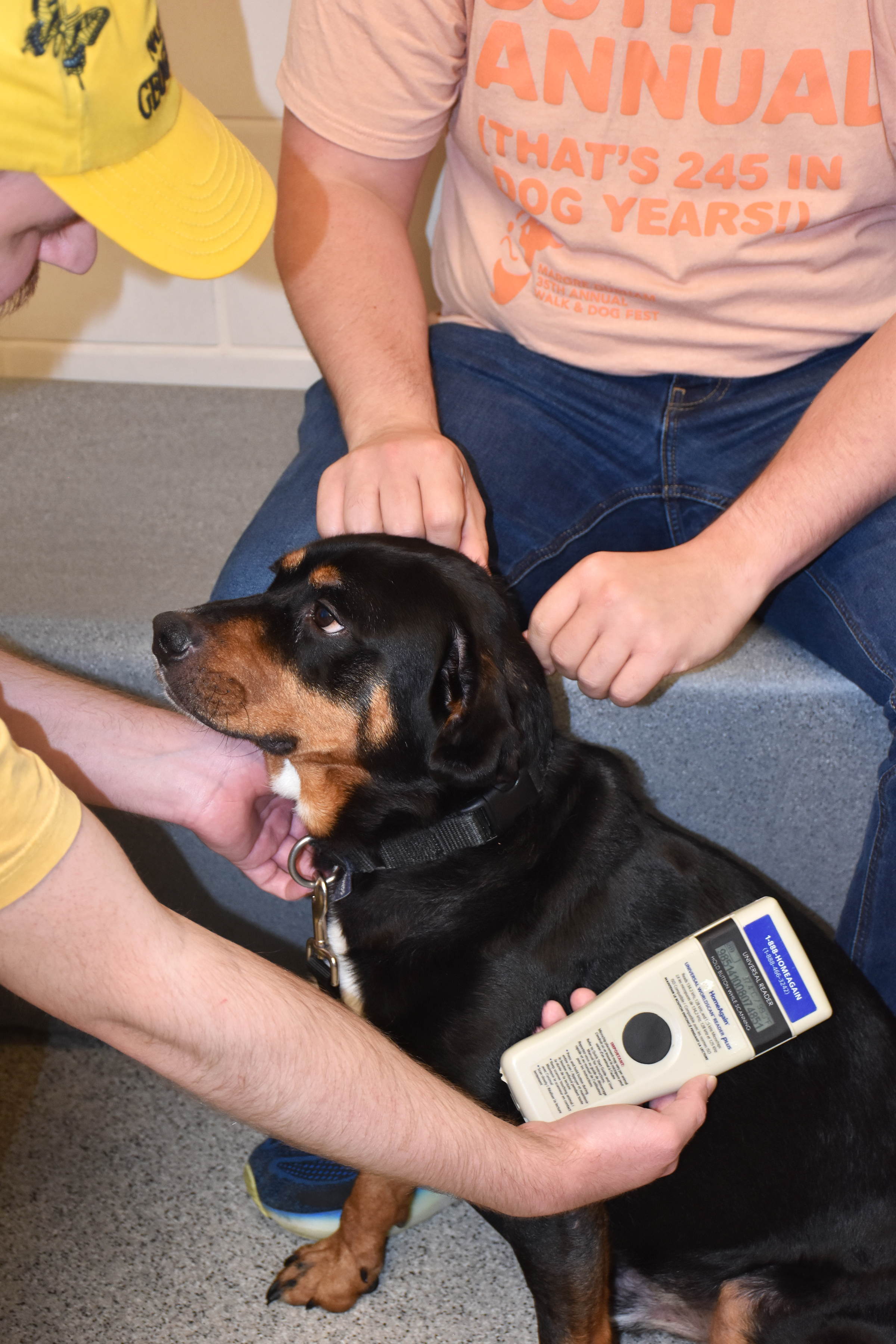 Steven Elonich, NHS Executive VP of PR, Marketing and Communications (orange shirt) and Brendan Gepson, NHS Digital Marketing Manager (yellow shirt) demonstrate how to scan pets for microchips in hopes of returning them to their rightful owners. In 2024 alone, NHS reunited 2,148 animals with their owners.<br />(Carla Chance / The Daily Record)