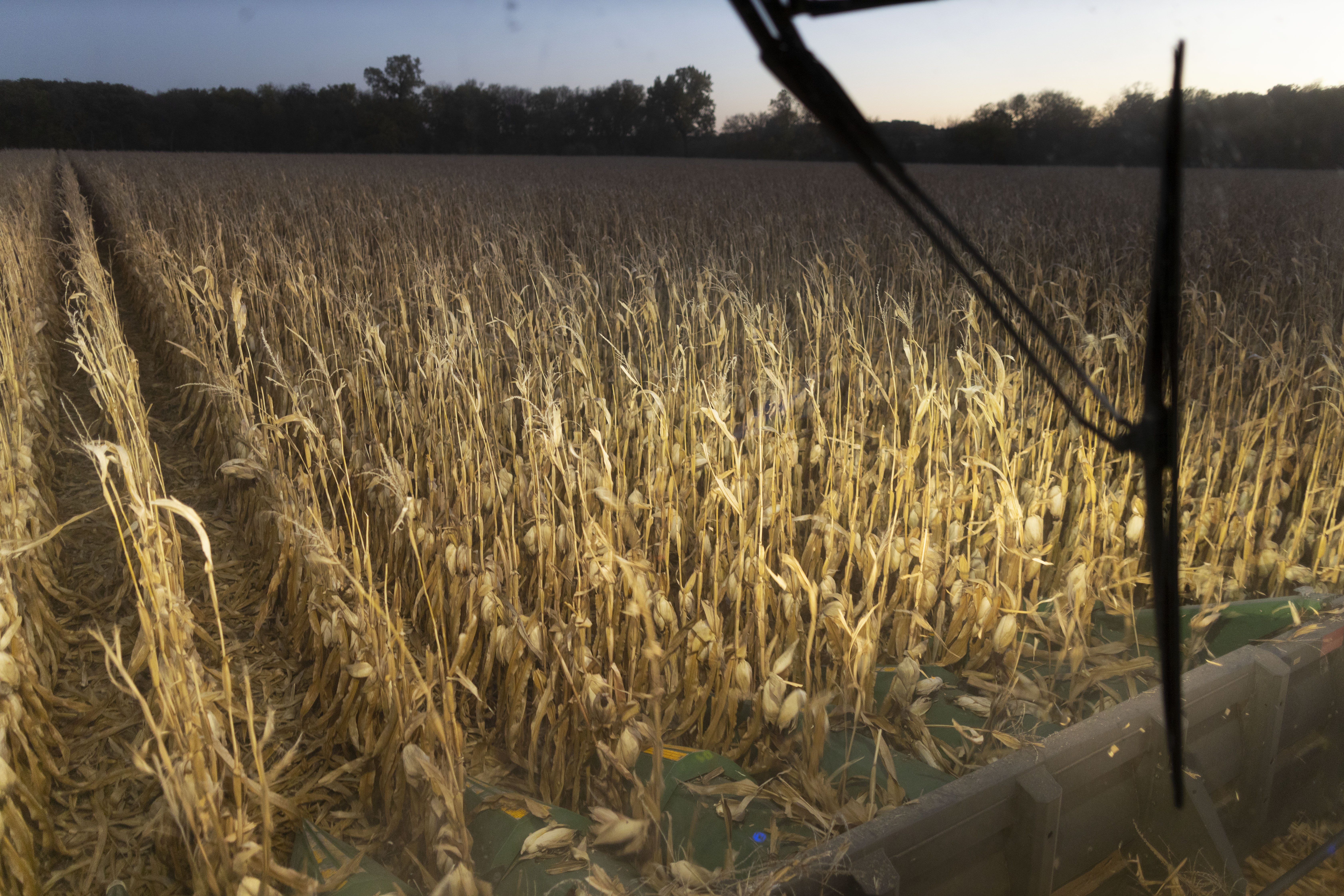 Farmer Jason Othmer operates a combine as he harvests corn near Vesta, an unincorporated community in Johnson County in southeast Nebraska on Tuesday, Oct. 18, 2022. (Background by Ryan Soderlin / Flatwater Free Press)
