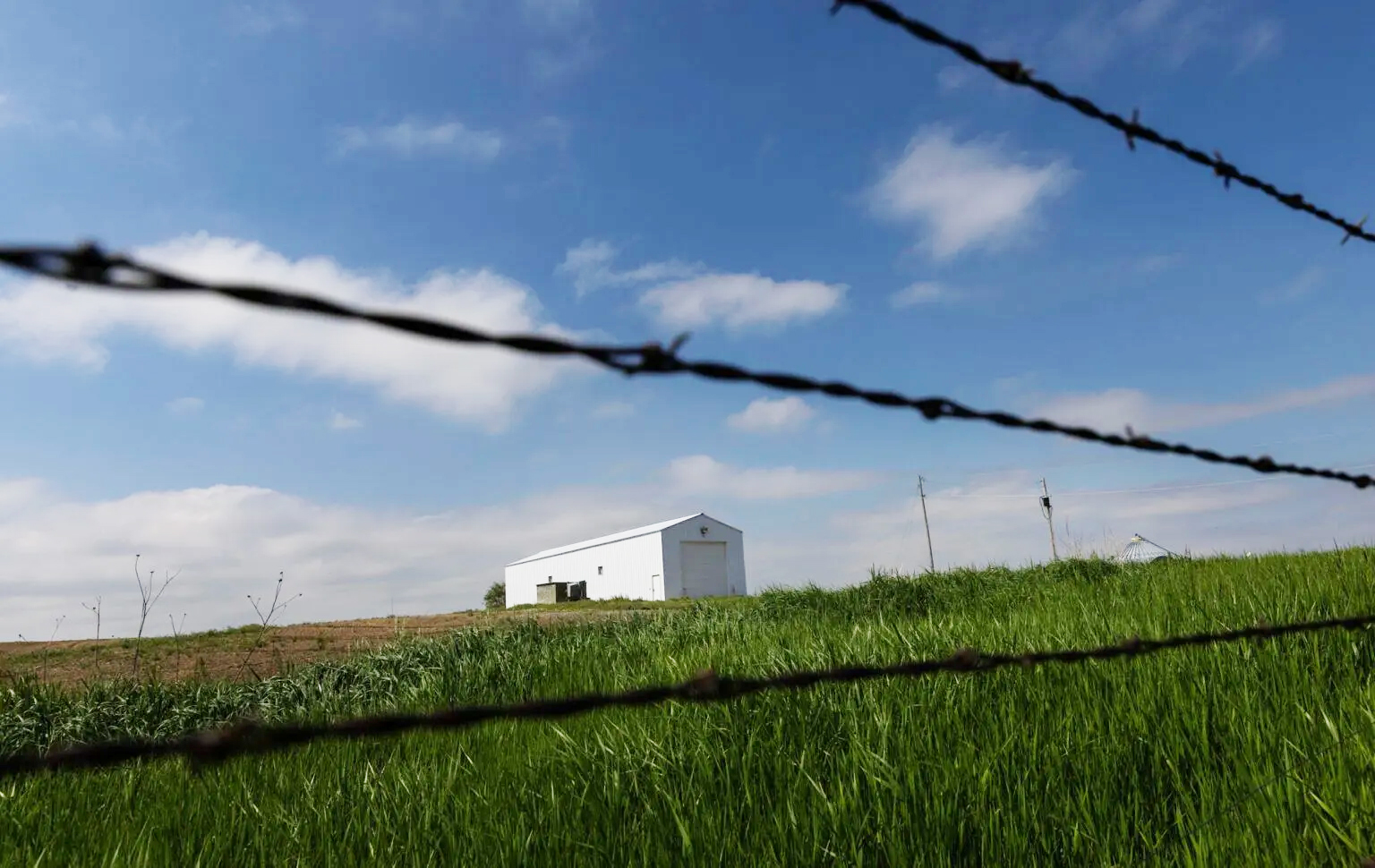 Pillen Family Farms Mt. Echo experiment shed is visible through the barbed wire fence along the property line with Neal and Bev Kemper’s farm on Monday, May 20, 2024, near St. Edward. Neal Kemper said Pillen Family Farms used the structure to try to kill bacteria in hog transport trailers with heat.<br />(Rebecca S. Gratz / Flatwater Free Press)