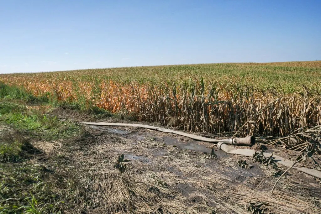 A broken gasket near the Bourn Cedar hog farm, owned by Pillen Family Farms, shown on Sept. 11, 2023. Sludge, apparently hog manure, pooled near the site, emitting a heavy odor. A review of NDEE records shows the hog farm has received no complaints or reports of discharge.<br />(Yanqi Xu / Flatwater Free Press)