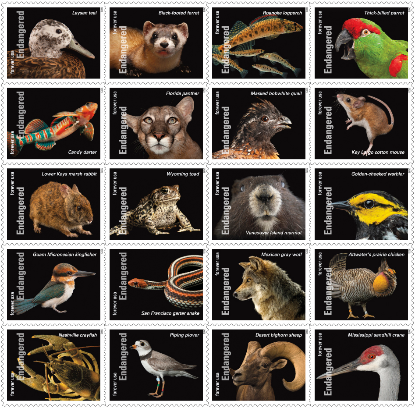 Endangered Species