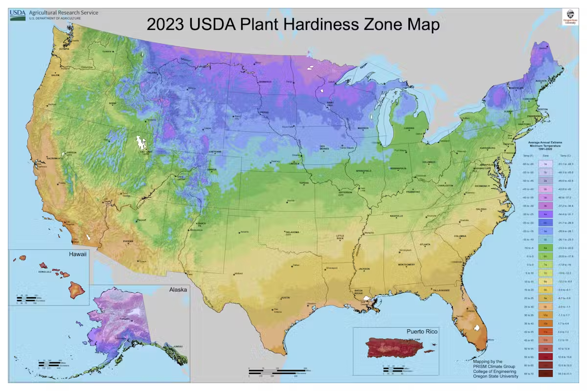 The 2023 USDA plant hardiness zone map shows the areas where plants can be expected to grow, based on extreme winter temperatures. Darker shades (purple to blue) denote colder zones, phasing southward into temperate (green) and warm zones (yellow and orange)<br />(USDA)