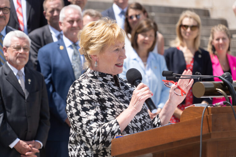 State Sen. Lou Ann Linehan of Elkhorn. May 30, 2023.		 (Zach Wendling / Nebraska Examiner)