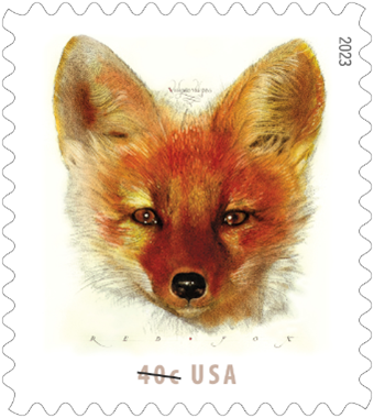 Red Fox