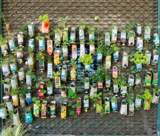 Beverage containers are turned into planters on a fence in Berlin, Germany.<br />(Drepicter / Shutterstock)