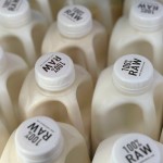 Bottles of raw milk are displayed for sale at a store in Temecula, Calif., on Wednesday, May 8, 2024. 
(JoNel Aleccia / AP Photo)