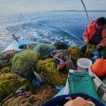 Fisherman Photis Gaitanos collects fish from nets off the coast of Larnaca, Cyprus, in the eastern Mediterranean, early Saturday, Dec. 20, 2025. 
(Petros Karadjias / AP Photo)
