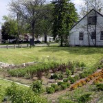 A bioretention garden built to collect rain runoff appears at a home in the Warrendale neighborhood of Detroit on May 16, 2016.
(Carlos Osorio / AP Photo)