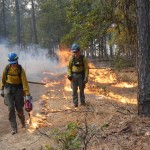 Crew members use drip torches to ignite a prescribed burn in Southwest Washington.
(Alex Brown / Stateline)