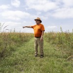 David Wedin, who formerly oversaw the Nine-Mile Prairie near Lincoln, points out various types of prairie grasses there on Sept. 17.
(Lily Smith / Flatwater Free Press)