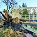 A broken stump, seen here on Dec. 18, 2025, is all that remains of a 30-foot pine tree that stood in the backyard of Rick Peters in Lincoln. It fell during an Aug. 9, 2025, storm that produced 90-mph wind gusts and destroyed the garage of Peters' neighbor, Justin Mains, who had to pay out of pocket to rebuild the structure in the background.
(Nick Loomis / The Midwest Newsroom / Nebraska Public Media)
