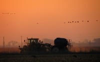 A farmer works near sunset in a field in central Nebraska. The Trump administration enacted new tariffs on Mexico and Canada last week while upping them on China. Canada and China fired back with new tariffs, and China has targeted U.S. agriculture in its response. 
(Lori Potter / Flatwater Free Press)