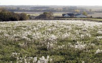 The Elkhorn River valley near Winslow, Neb., is seen from a hilltop a few miles to the north east. 
(Nati Harnik / AP Photo)