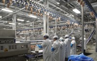 Workers process chickens at the Lincoln Premium Poultry plant, Costco Wholesale's dedicated poultry supplier, in Fremont, Nebraska on Dec. 12, 2019. 
 (Nati Harnik / AP Photo)