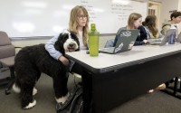 Student Tatiana Kelly hugs Cooper, a therapy dog being trained by Buena Vista University education professor Calle Friesen, Tuesday, March 29, 2022, during one of Friesen's classes at the Storm Lake, Iowa, university. 
(Tim Hynds / Sioux City Journal via AP)
