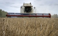 A harvester collects wheat in the village of Zghurivka, Ukraine, on Aug. 9, 2022. Russia has suspended, on Monday July 17, 2023 a wartime deal brokered by the U.N. and Turkey that was designed to move food from Ukraine to parts of the world where millions are going hungry. (Efrem Lukatsky / AP Photo)
