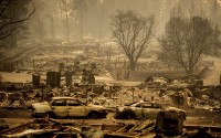 Homes leveled by the Camp Fire line a development on Edgewood Lane in Paradise, Calif., on Nov. 12, 2018. 
(Noah Berger / AP Photo