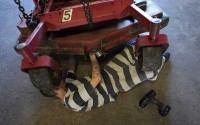 Diesel mechanic Johnny Reyes, a former gang member who says he is serving a 364 day sentence in the Brevard County jail for burglary and violating probation, does maintenance on landscaping equiptment in a workshop at the Sheriff’s Work Farm.
(Rebecca Blackwell / AP Photo)